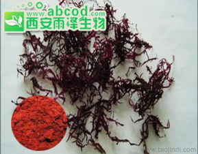 紅藻提取物海藻提取物植物提取物生產廠家價格 廠家 圖片