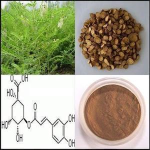 植物提取物-黃芪甲苷 0.3% 5% 10% 98% 黃芪提取物-植物提取物盡在.