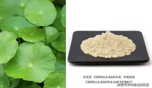 2020 最新植物提取物 化妝品原料 前沿熱點點評