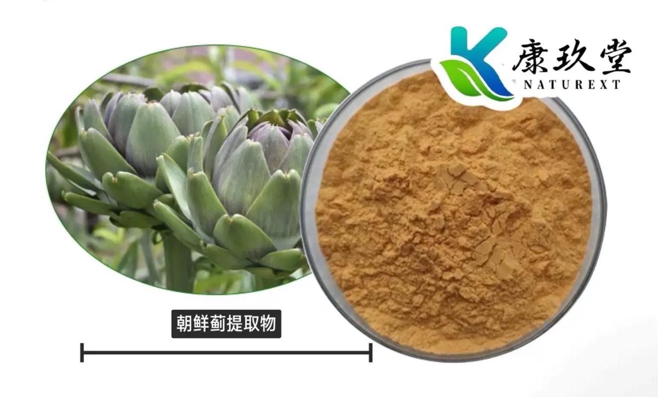 《植物提取物》