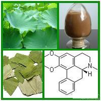 荷葉提取物 源自中國甘肅蘭州的天然植物精華