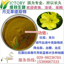 月見草提取物限時促銷，西安維特生物科技為您帶來純正植物精華